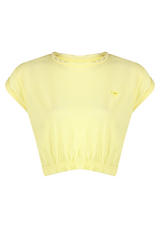 Lemon Flamingo Emblem Crop Tshirt